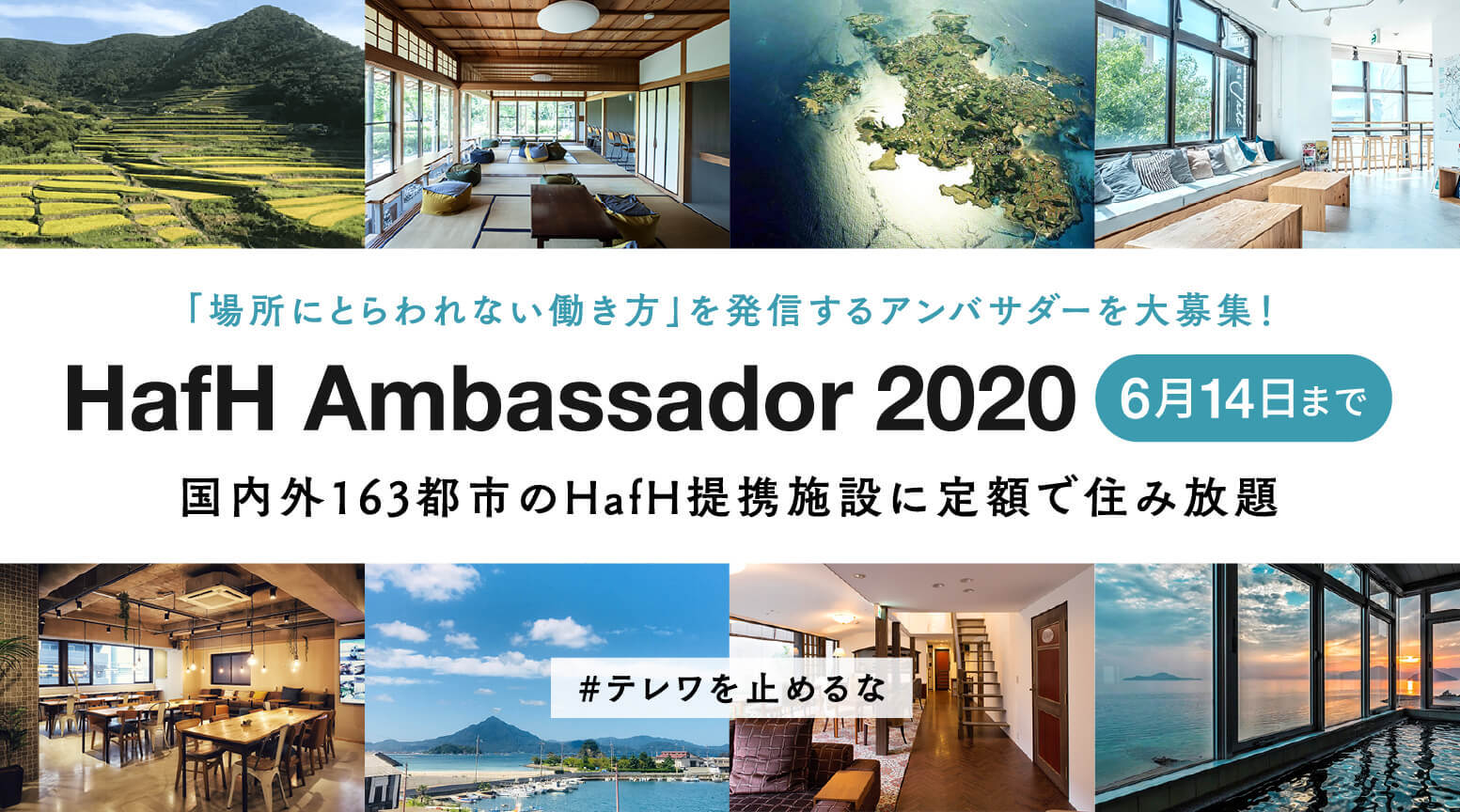 「HafHアンバサダー2020」を募集します！