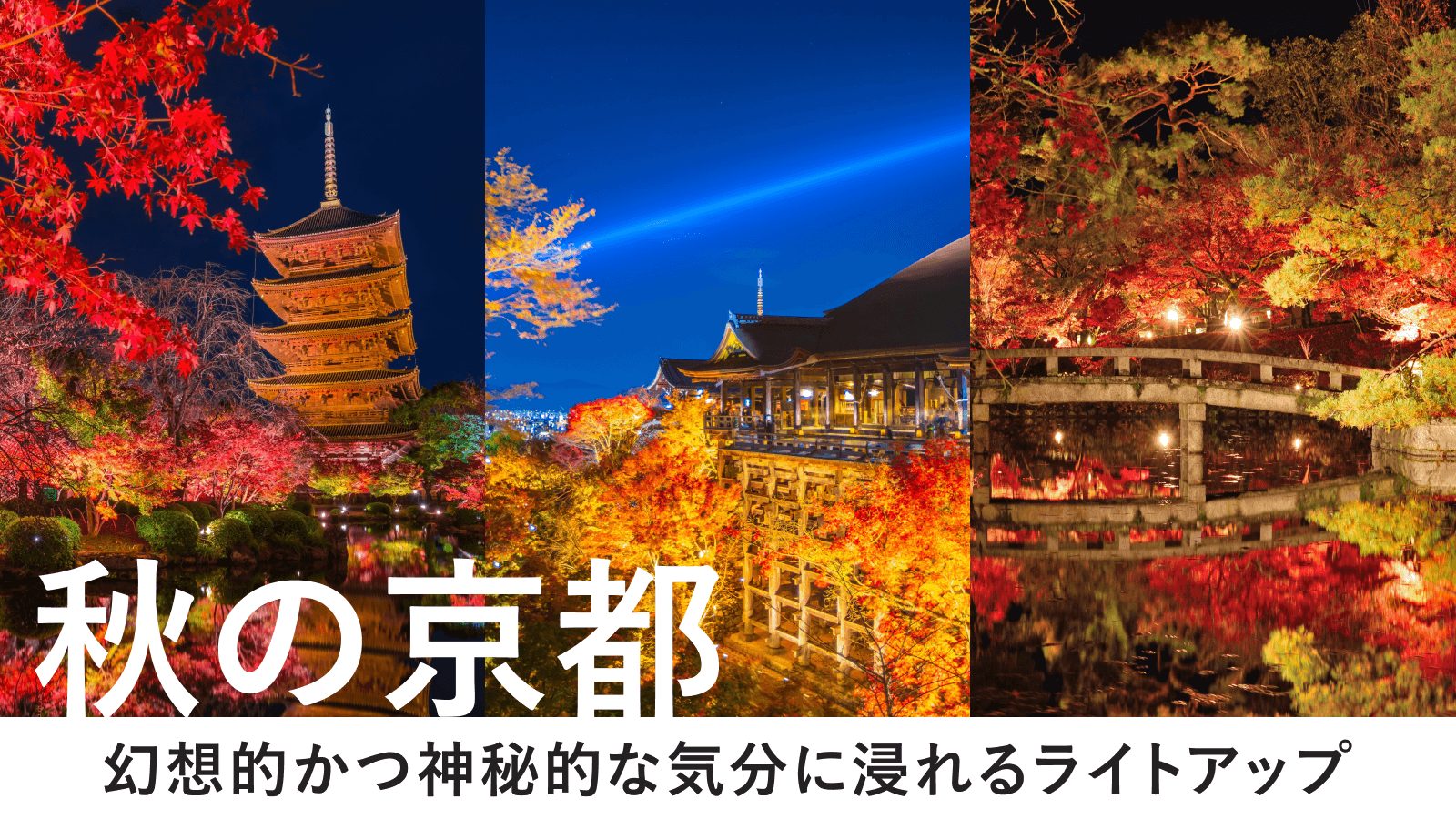 【秋の京都】幻想的かつ神秘的な気分に浸れるライトアップがおすすめ！