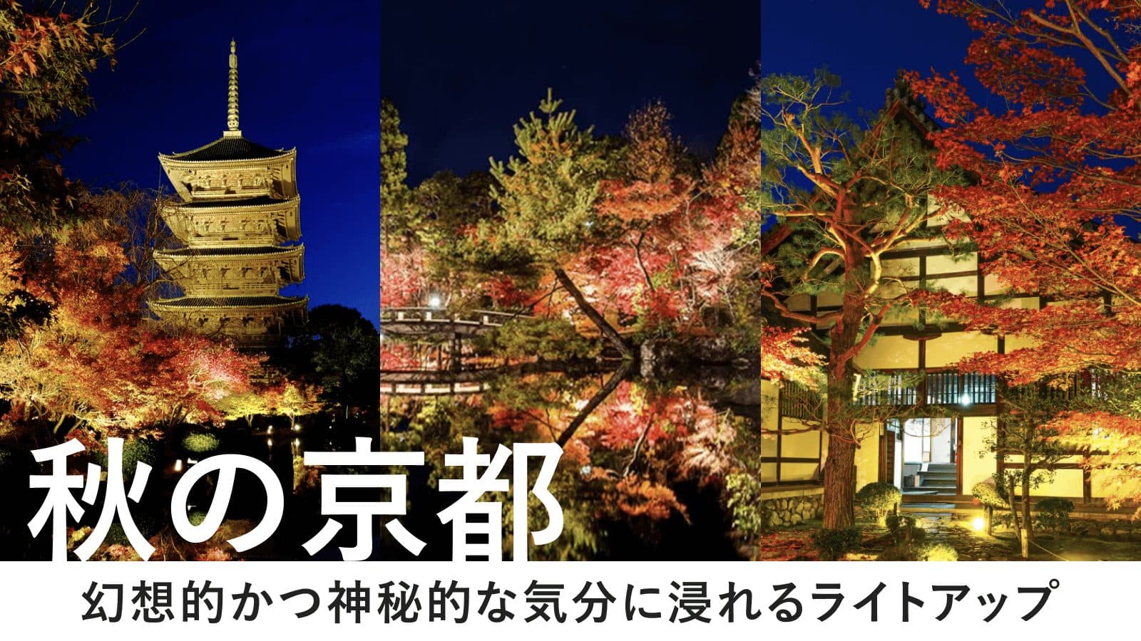 【光と色彩の魔法】忘れられない夜を演出してくれるイルミネーションという名のアート