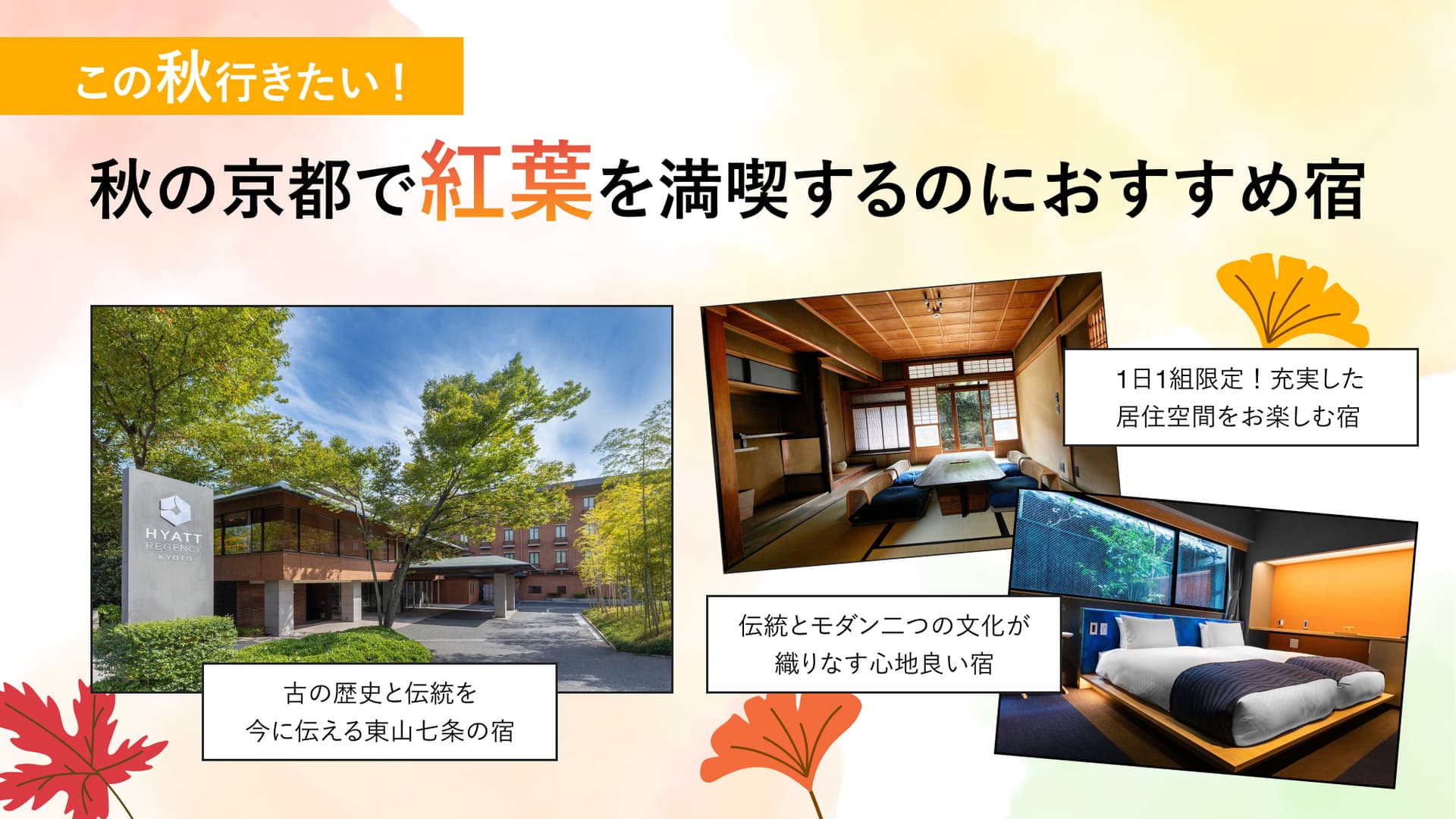 紅葉シーズン到来!日本有数の紅葉の名所、秋の京都をHafHで満喫しよう!